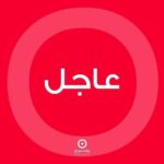 القاضي البيطار يقبل الشكوى المباشرة لزياد ريشا الذي فقد والدته في انفجار المرفأ